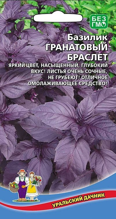 Базилик Гранатовый Браслет, 1 пакет, семена 0,25г, Уральский Дачник  #1