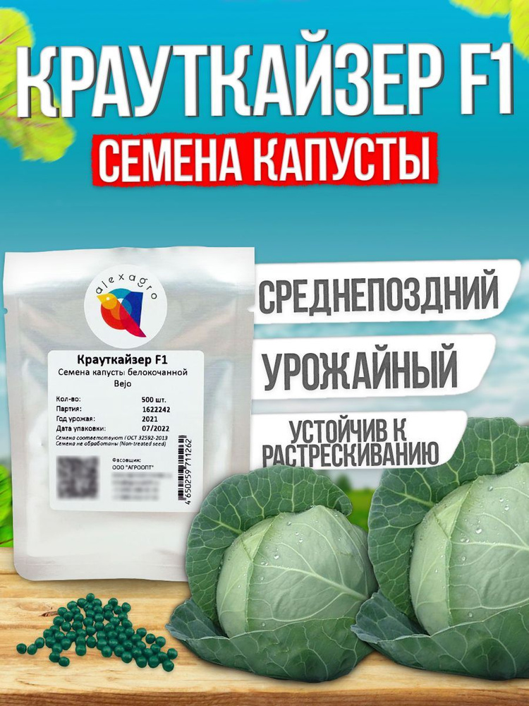 Крауткайзер F1 семена капусты белокочанной, 500 шт (Bejo / ALEXAGRO). Высокоурожайный гибрид  #1