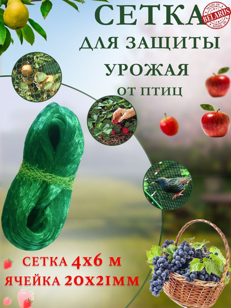 Interlok Сетка садовая,Полиэтилен,10г/кв.м,6х4м #1