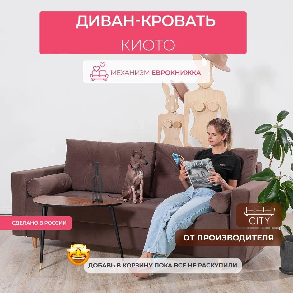 Раскладной диван кровать, механизм еврокнижка, 220х96х85 см  #1