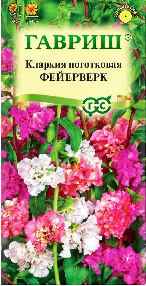 Кларкия Фейерверк (смесь), 1 пакет, семена 0,05 гр, Гавриш #1