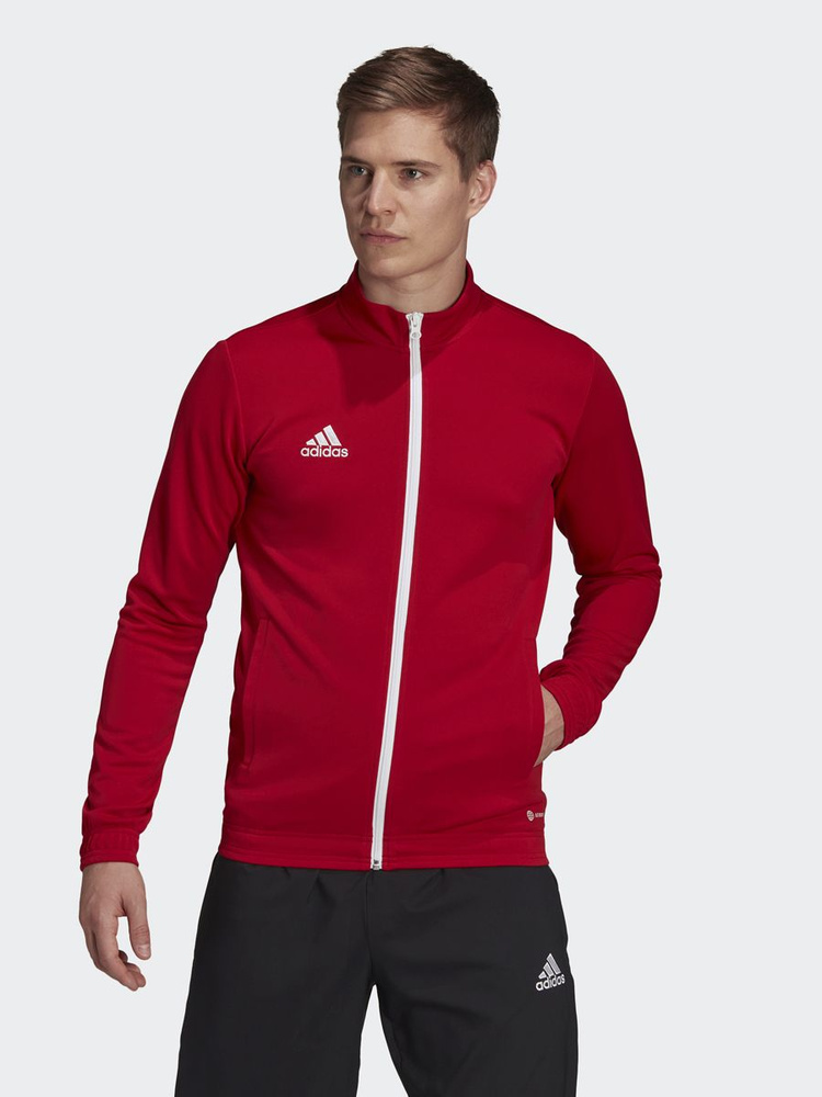 Олимпийка adidas ENT22 TK JKT #1