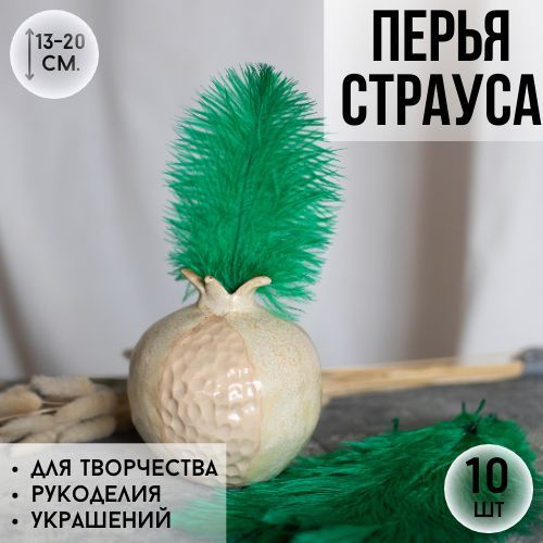 Страусиные перья страуса #1