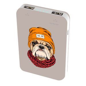 Ritmix Внешний аккумулятор Зарядное устройство Power bank RPB-10007 Bulldog, 10000 мАч, белый  #1