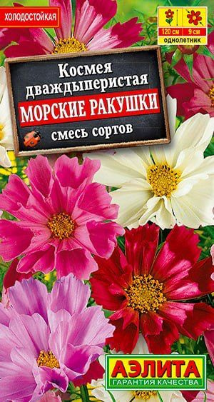 Семена Космея Морские ракушки, смесь сортов #1