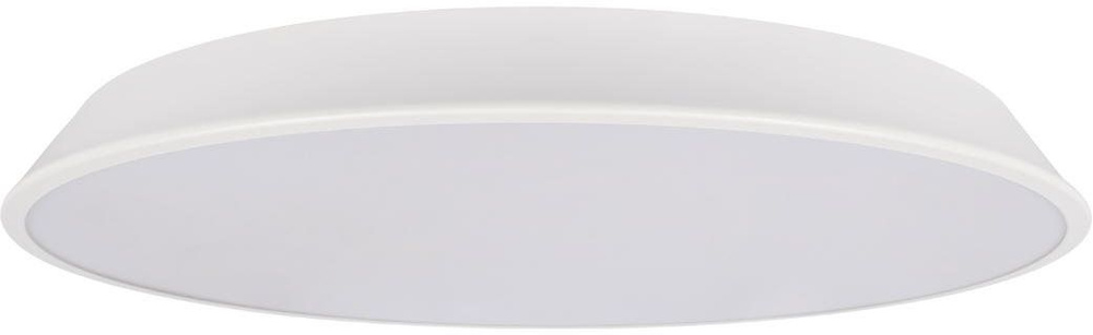 Потолочный светильник светодиодный Loft It Brim 10226 White #1