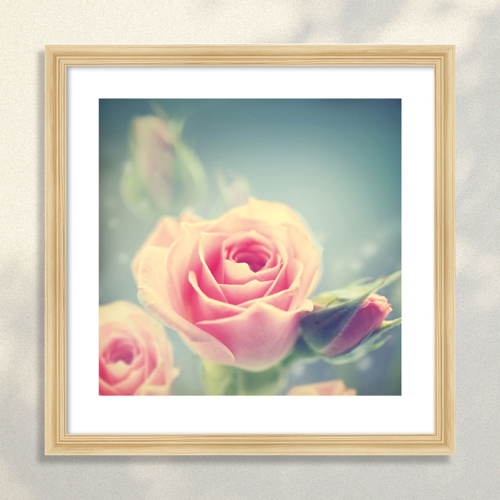 Картина в раме Postermarket "Розовые розы", 40 х 40 см. #1