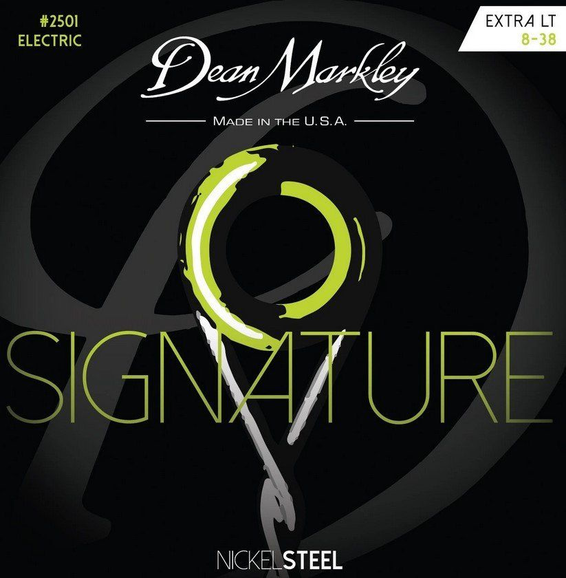 Струны для электрогитары Dean Markley DM2501 Signature 8-38 #1