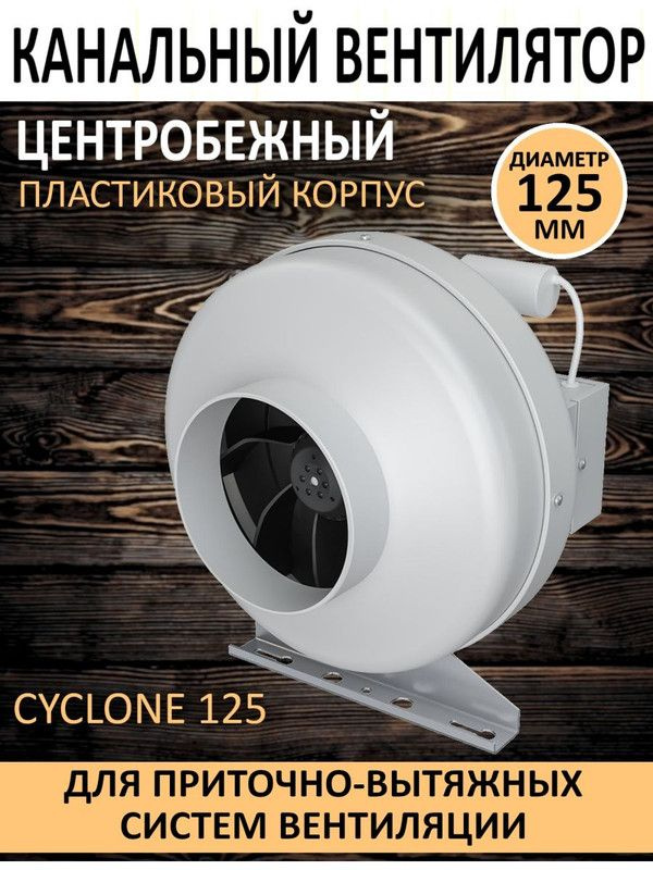 Коммерческий вентилятор CYCLONE 125 #1