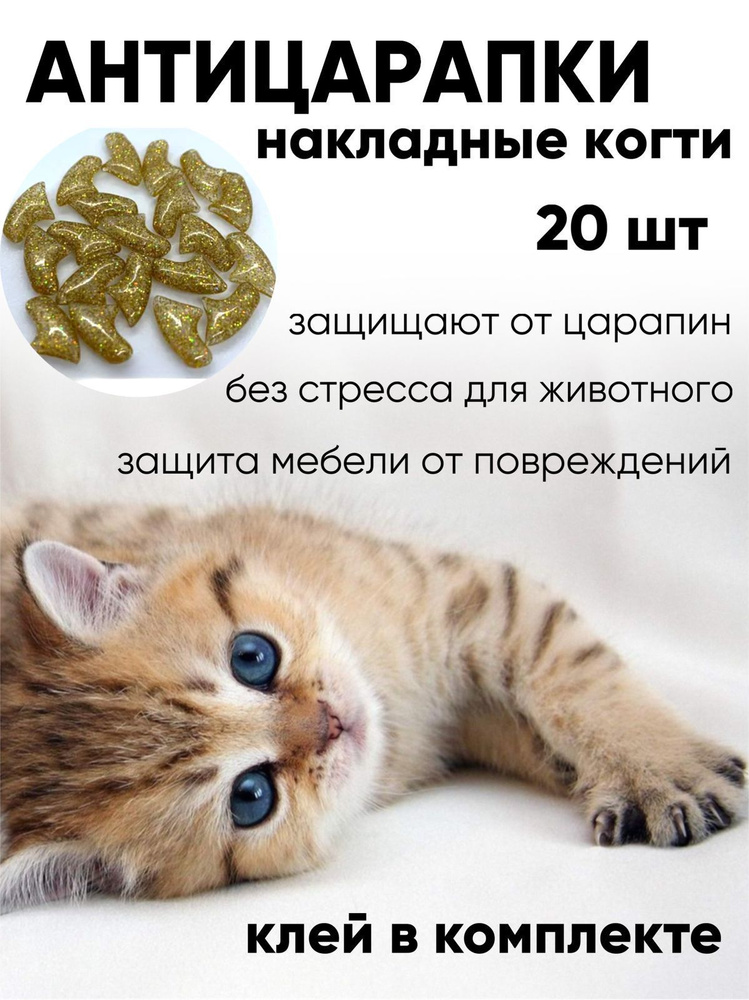 Антицарапки для кошек, накладки на ногти для животных, 20 штук  #1