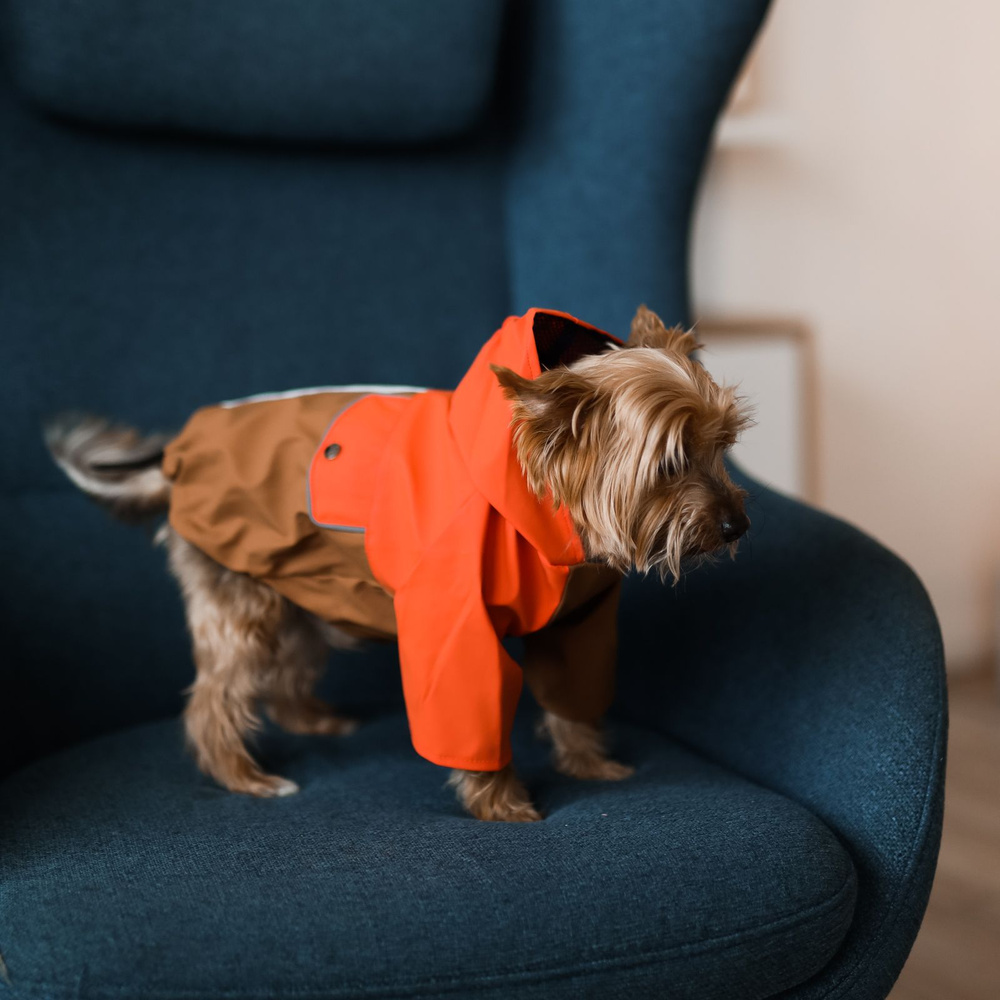 Дождевик/куртка, одежда для собак, "Не Один Дома" Самоцвет, разноцветный, L, длина спинки - 40 см  #1