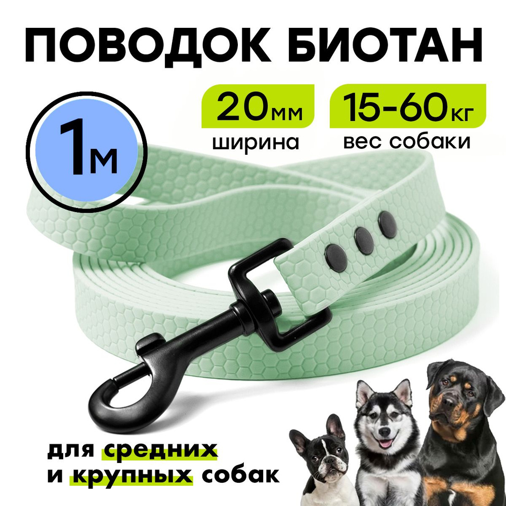 Биотановый поводок 1 м, ширина 20 мм, Woofy "Iron", прорезиненный, водостойкий, мятный  #1