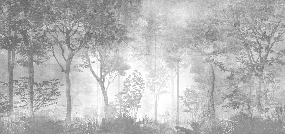 Фотообои флизелиновые на стену 3д GrandPik 26027 Лофт "Лес, деревья в тумане, винтаж, серые", 500х240 #1