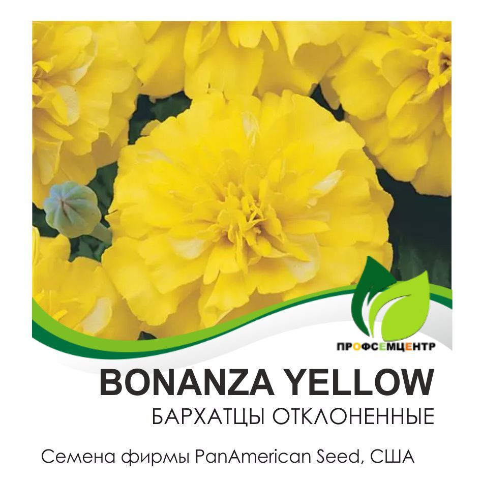 Бархатцы отклоненные Bonanza Yellow (Бонанза Еллоу), семена, 30 шт. (фасовка)  #1