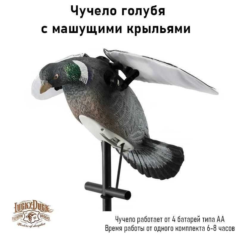 Чучело голубя с машущими крыльями (вяхирь) #1