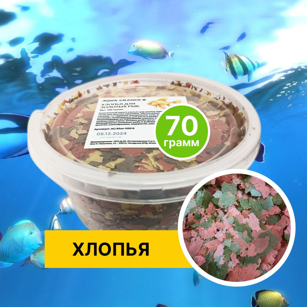 Корм сухой - Корм для рыбок аквариумных AQUA-GRANDE, хлопья для окраски, 70г. , контейнер  #1