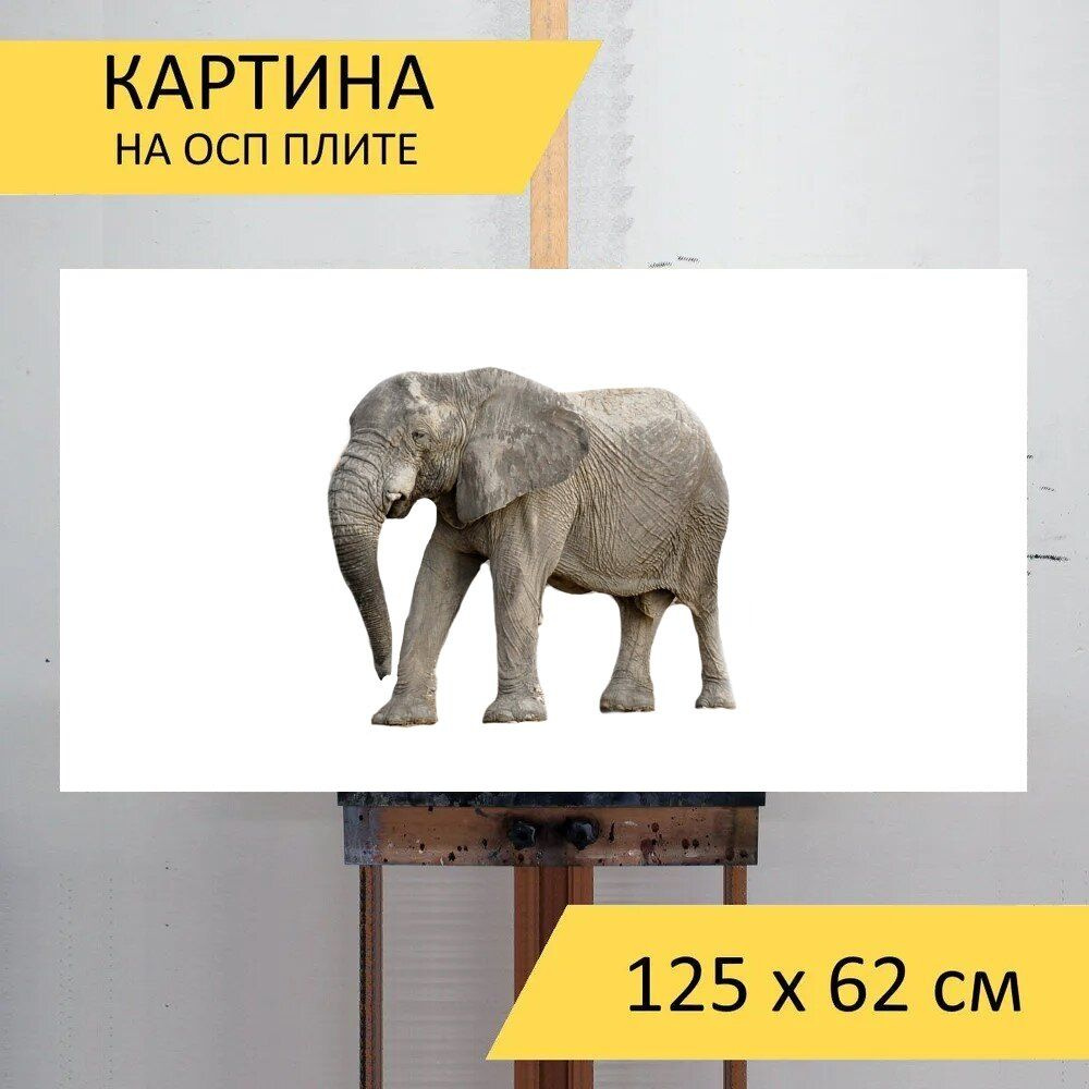 LotsPrints Картина "Слон, животное, африка 52", 125  х 62 см #1