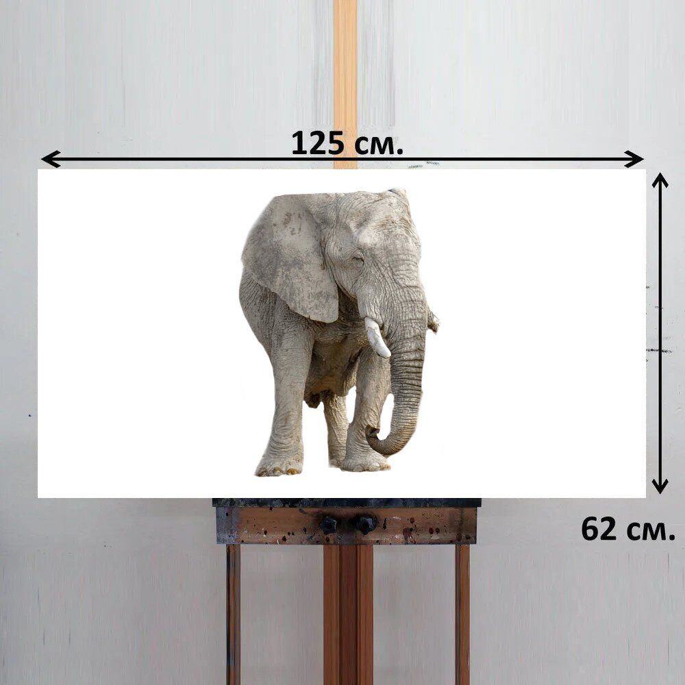 LotsPrints Картина "Слон, животное, африка 55", 125  х 62 см #1