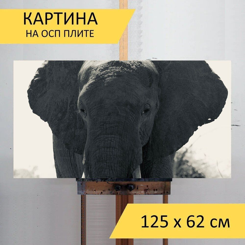 LotsPrints Картина "Слон, южная африка, сафари 96", 125  х 62 см #1