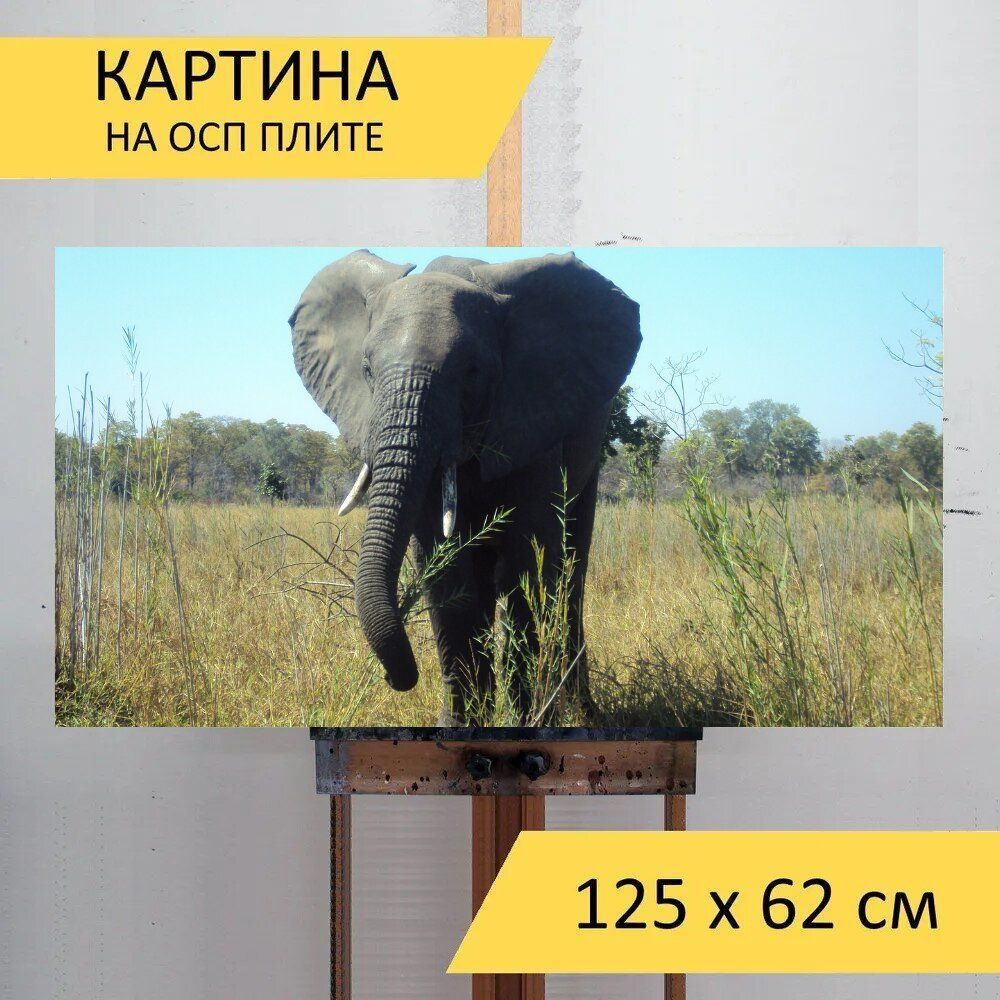 LotsPrints Картина "Слон, малави, дикая жизнь 42", 125  х 62 см #1