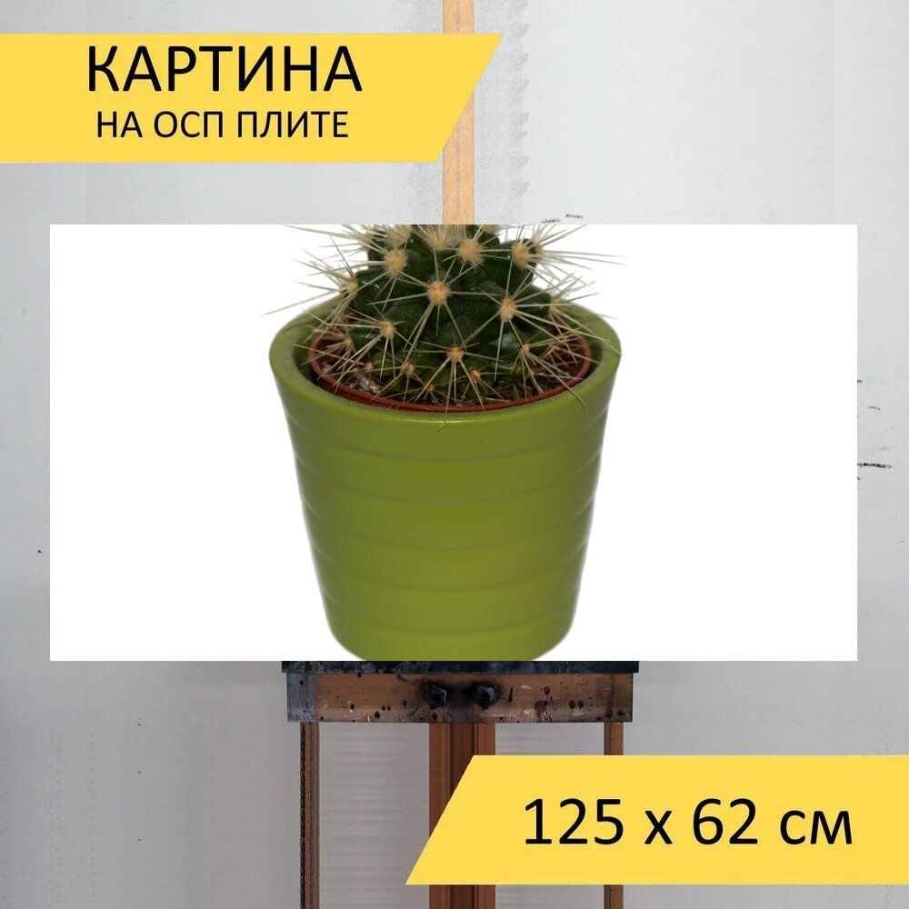 LotsPrints Картина "Кактус, завод, изолированный 06", 125  х 62 см #1