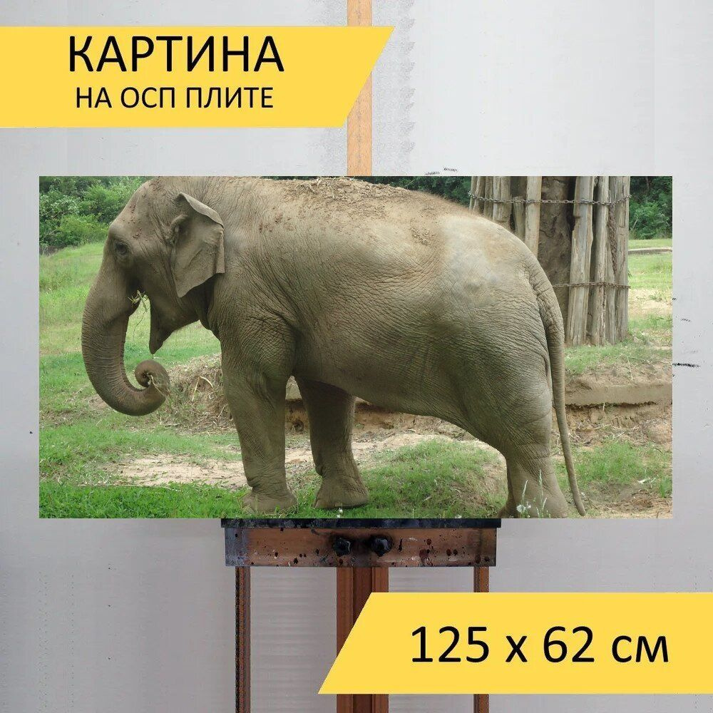 LotsPrints Картина "Слон, зоопарк, животное 31", 125  х 62 см #1