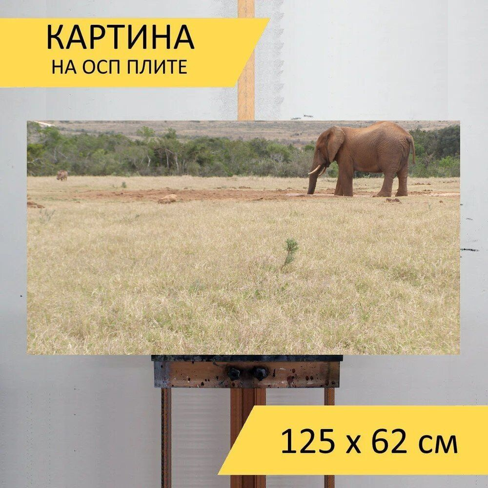 LotsPrints Картина "Слон, питьевая, сафари 73", 125  х 62 см #1
