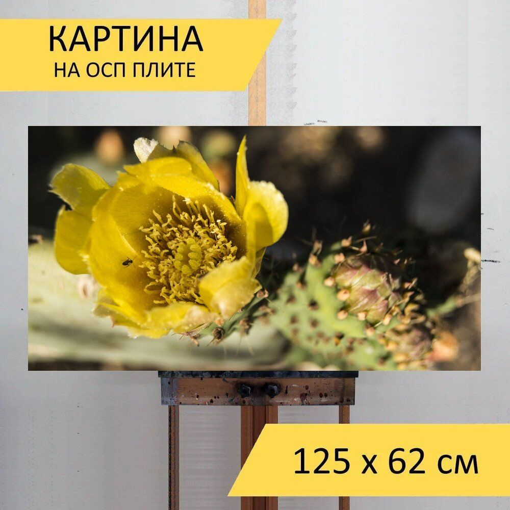 LotsPrints Картина "Кактус, колючий кактус, цветок 11", 125 х 62 см  #1