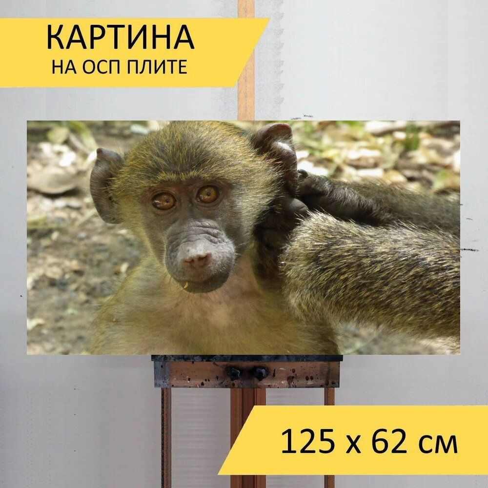 LotsPrints Картина "Южная африка, сафари, обезьяна 96", 125 х 62 см  #1