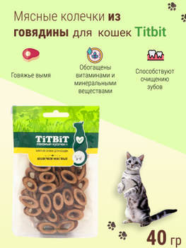 Раздел 2. Лакомства для особых случаев