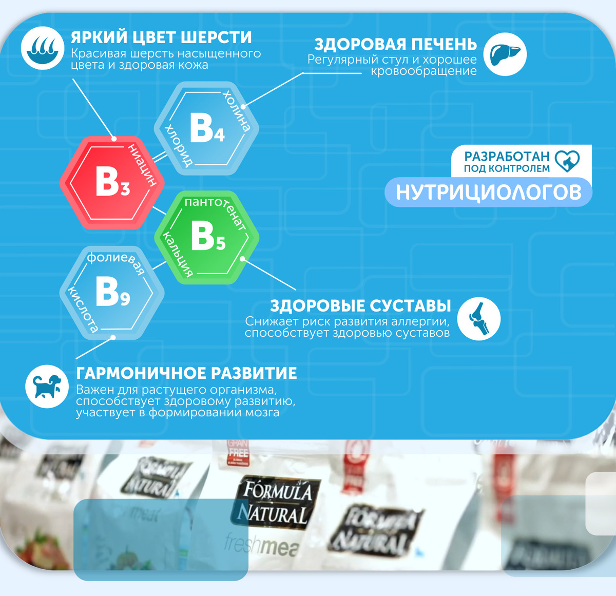 Текстовое описание изображения