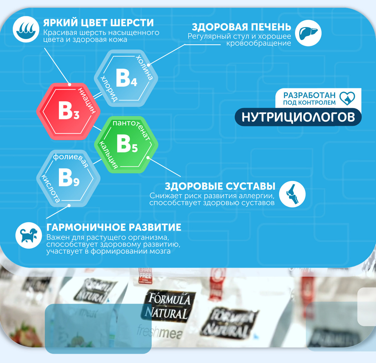 Текстовое описание изображения