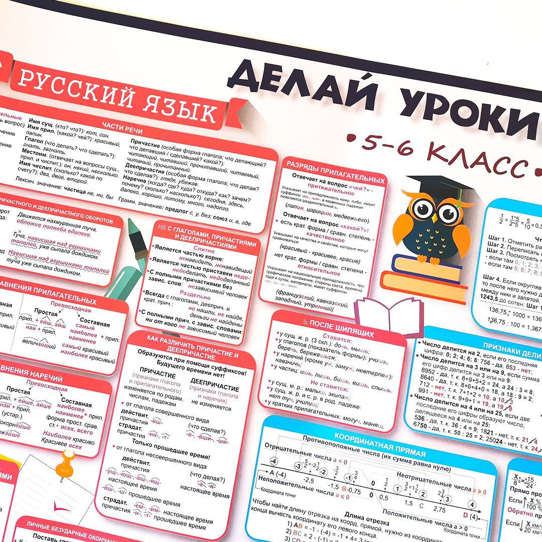 Обучающий плакат русский язык и математика (5-6 класс)