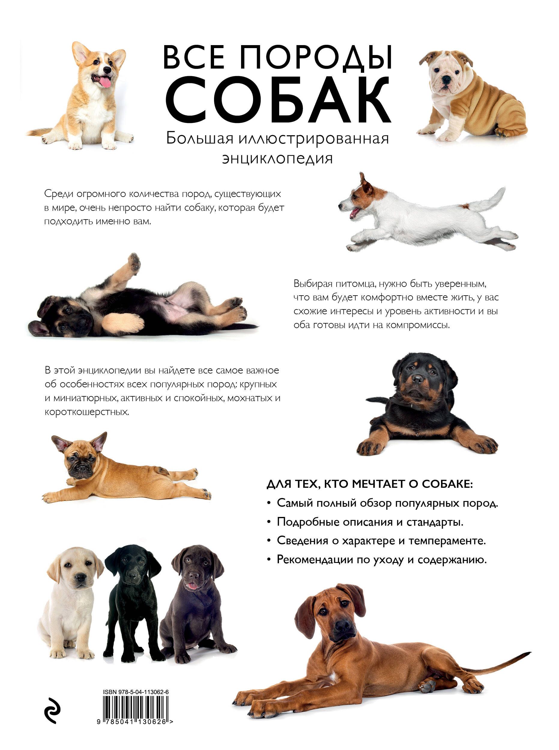 Все породы собак. Большая иллюстрированная энциклопедия | All Dog Breeds: The Big Illustrated Encyclopedia - Ozon image 5