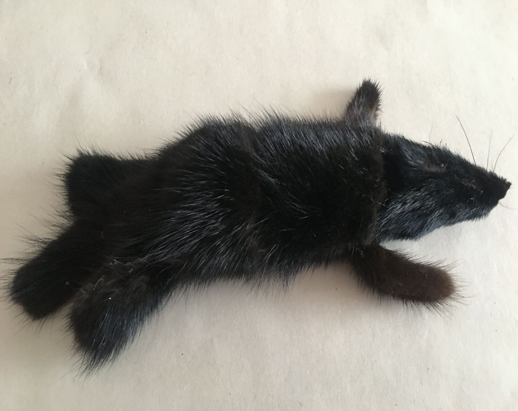 Мягкая меховая игрушка для собак Черная Норка 22 см Игрушка для кошек  Меховая погремушка для щенков - купить с доставкой по выгодным ценам в  интернет-магазине OZON (1019846584)