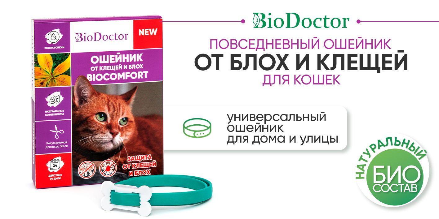 Как одеть коту ошейник от блох. Как одеть коту ошейник от блох