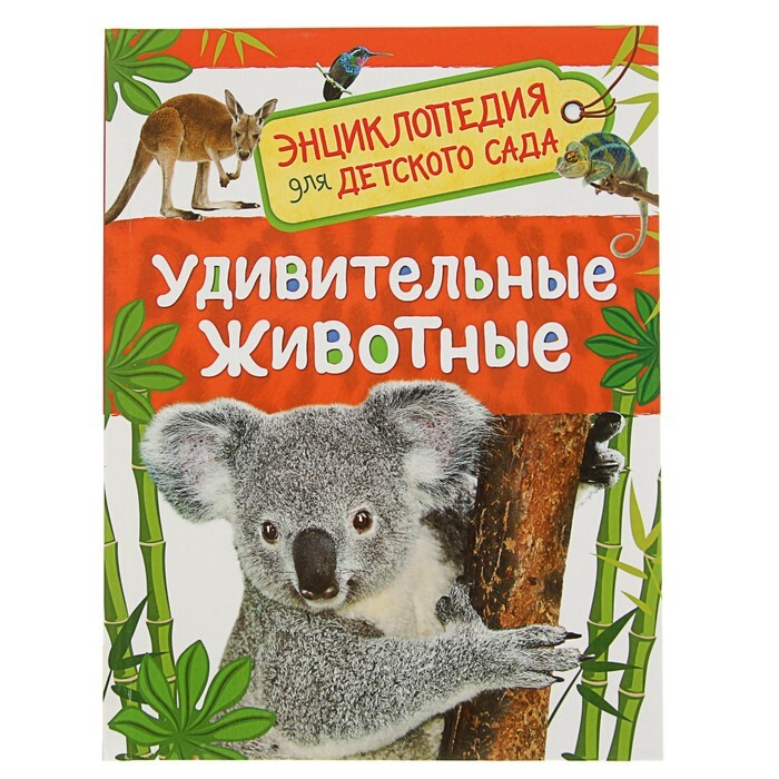 Энциклопедия для детского сада "Удивительные животные"  #1