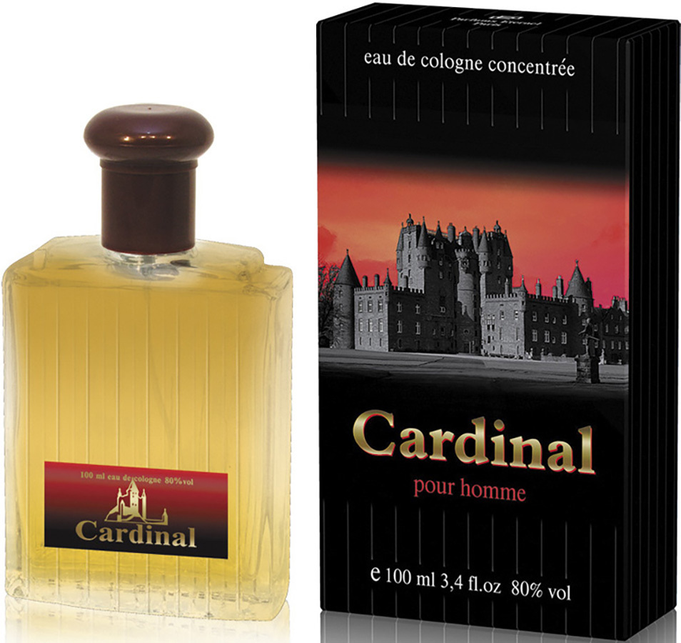 Parfums Eternel Cardinal мужской одеколон 100 мл #1