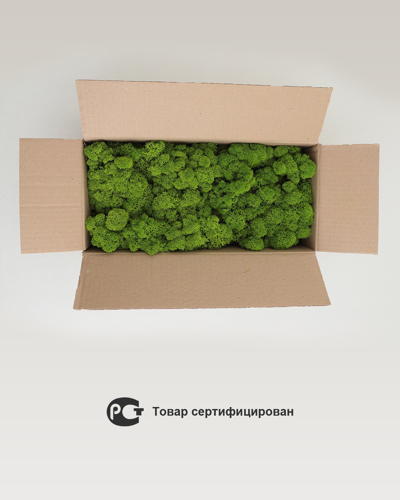 Стабилизированный мох 500 гр., зеленый Нефрит  #1