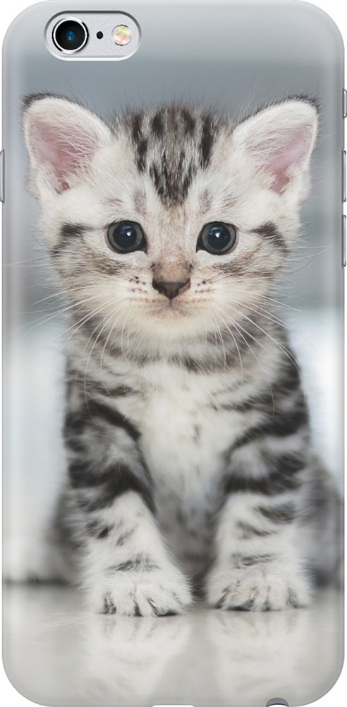 Чехол на Apple iPhone 6s / 6 (для Эпл Айфон 6 / 6с) силикон с рисунком Милый котенок  #1