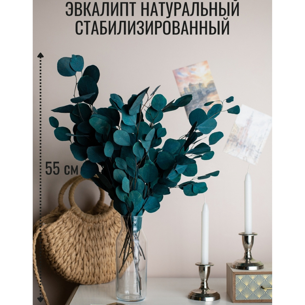 EasySmile Сухоцветы Эвкалипт, 65 см, 150 гр #1