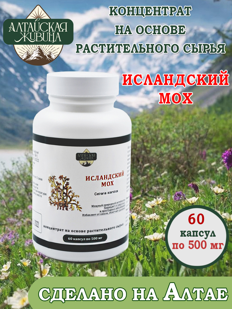 Исландский мох капсулы 60 шт по 500 мг экстракт на основе растительного сырья выводит мокроту, избавляет #1