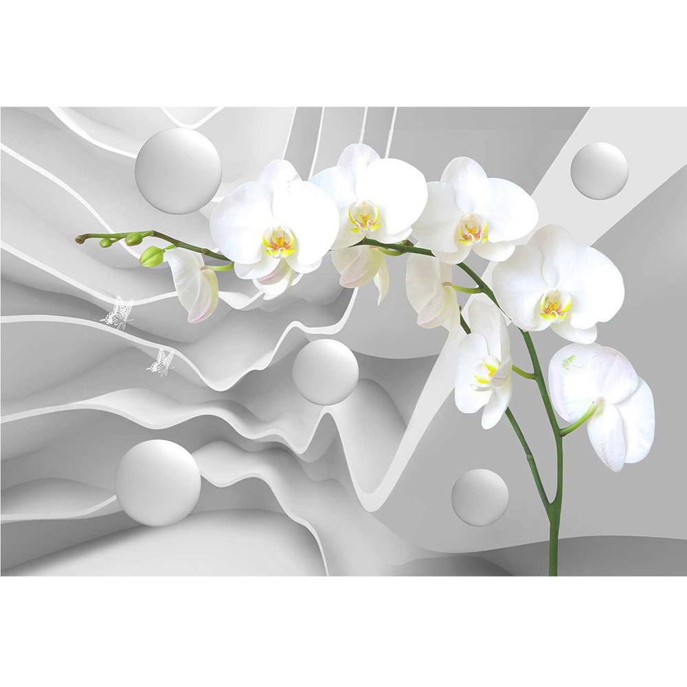 Фотообои Орхидея 400x270 см #1