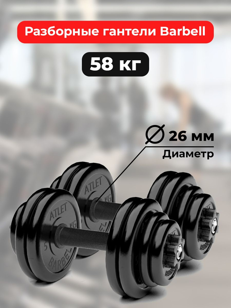 Гантели 29 кг - 2шт MB Barbell разборные #1