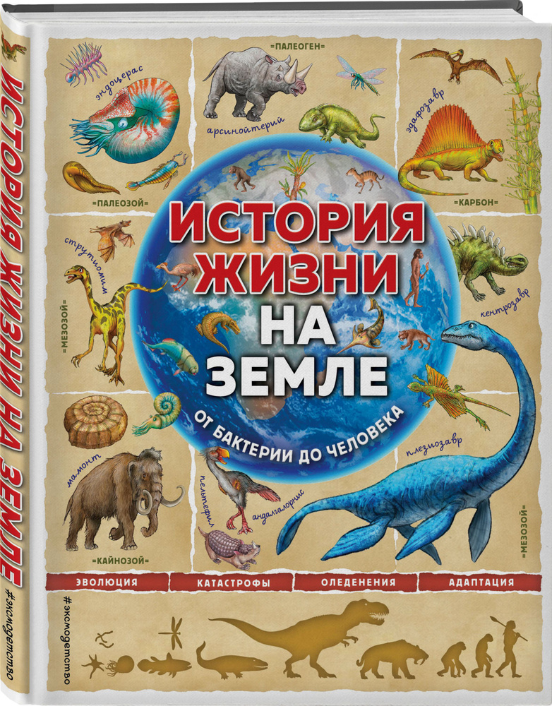 История жизни на Земле. От бактерии до человека | Ло Фелисия, Бэйли Джерри  #1