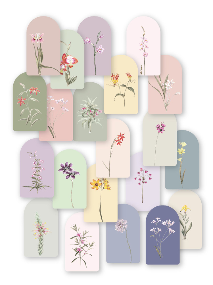 Бирки "Ботаника" мини-открытки 5х9 см, 21 шт. #1