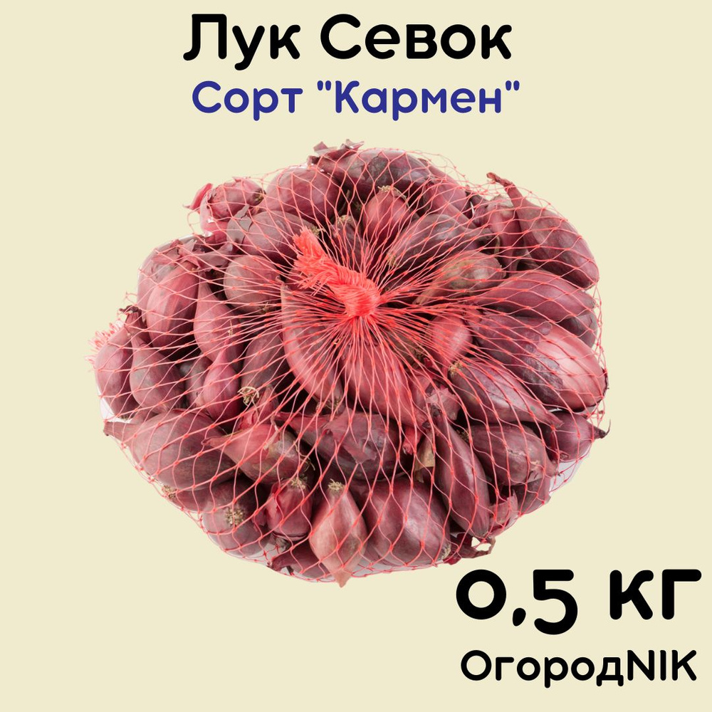 Луковицы,0.5кг #1