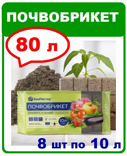 БиоМастер Грунт,10л #1