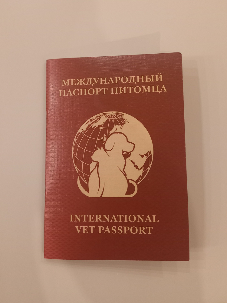 Паспорт ветеринарный #1