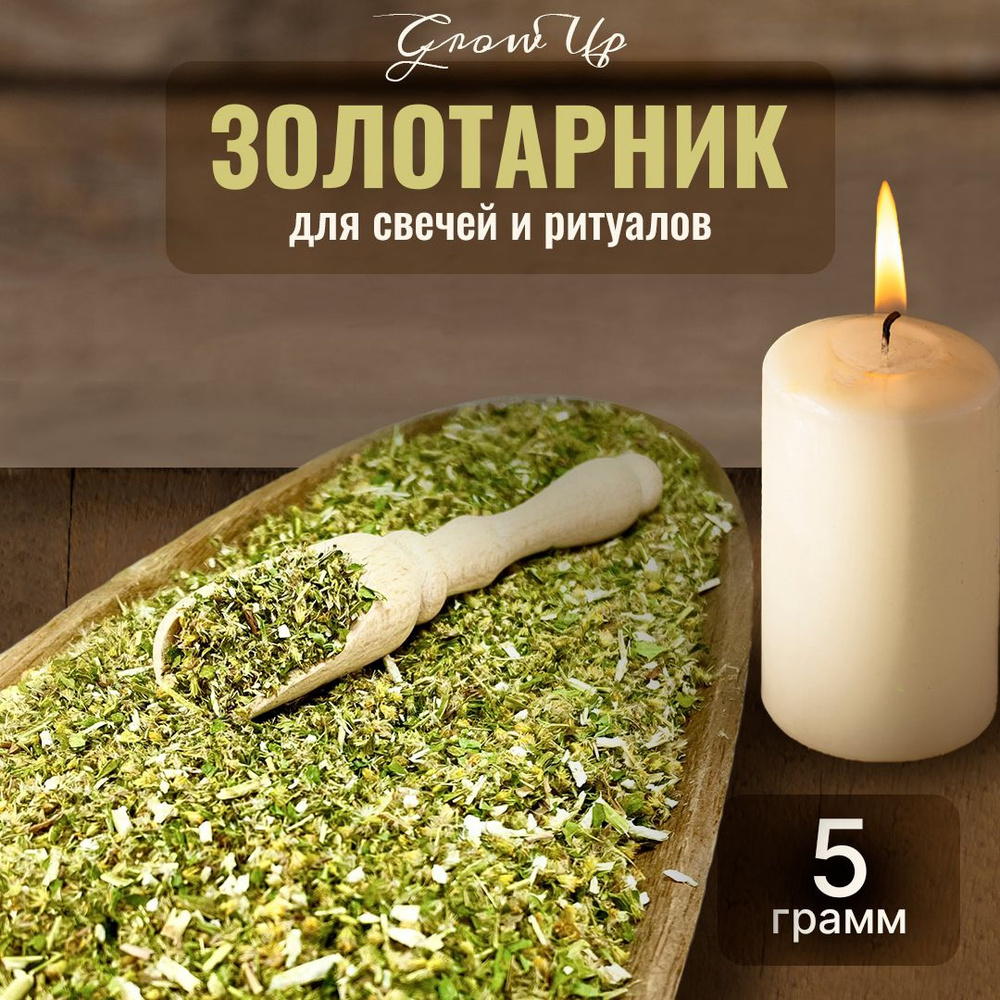 Золотарник сушеная трава 5 гр - сухоцветы для свечей, творчества и ритуалов  #1